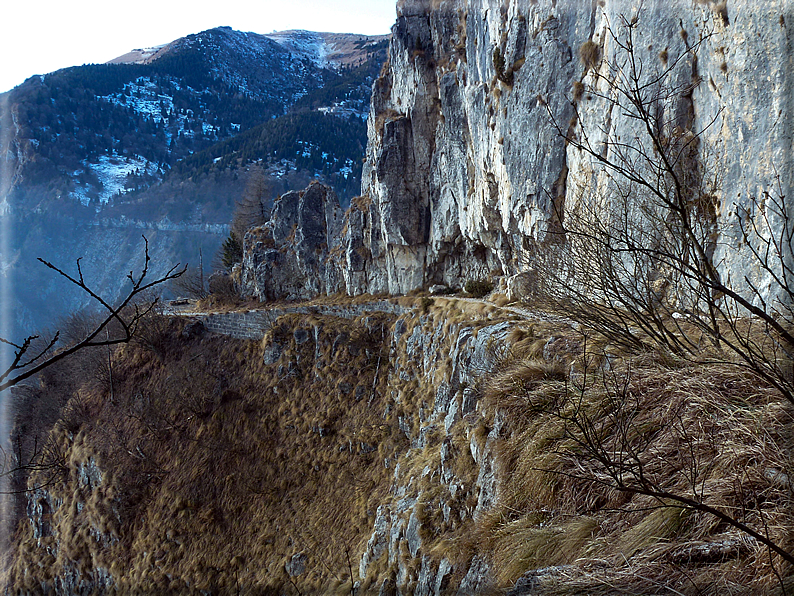 foto Salita dal Monte Tomba a Cima Grappa